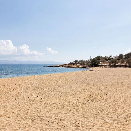 Villa San Dimitrio House On The Beach Logaras Exterior foto
