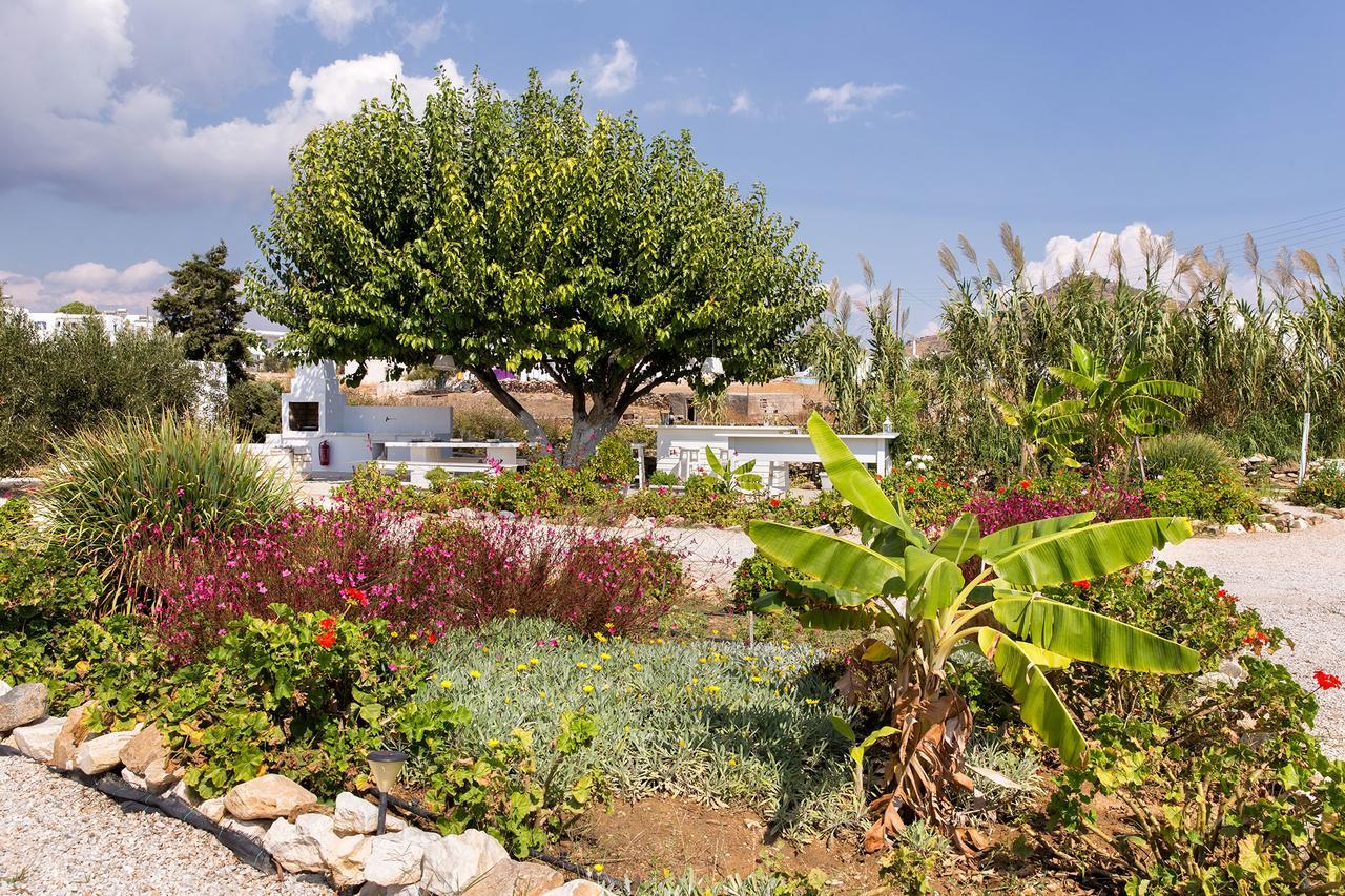 Villa San Dimitrio House On The Beach Logaras Exterior foto