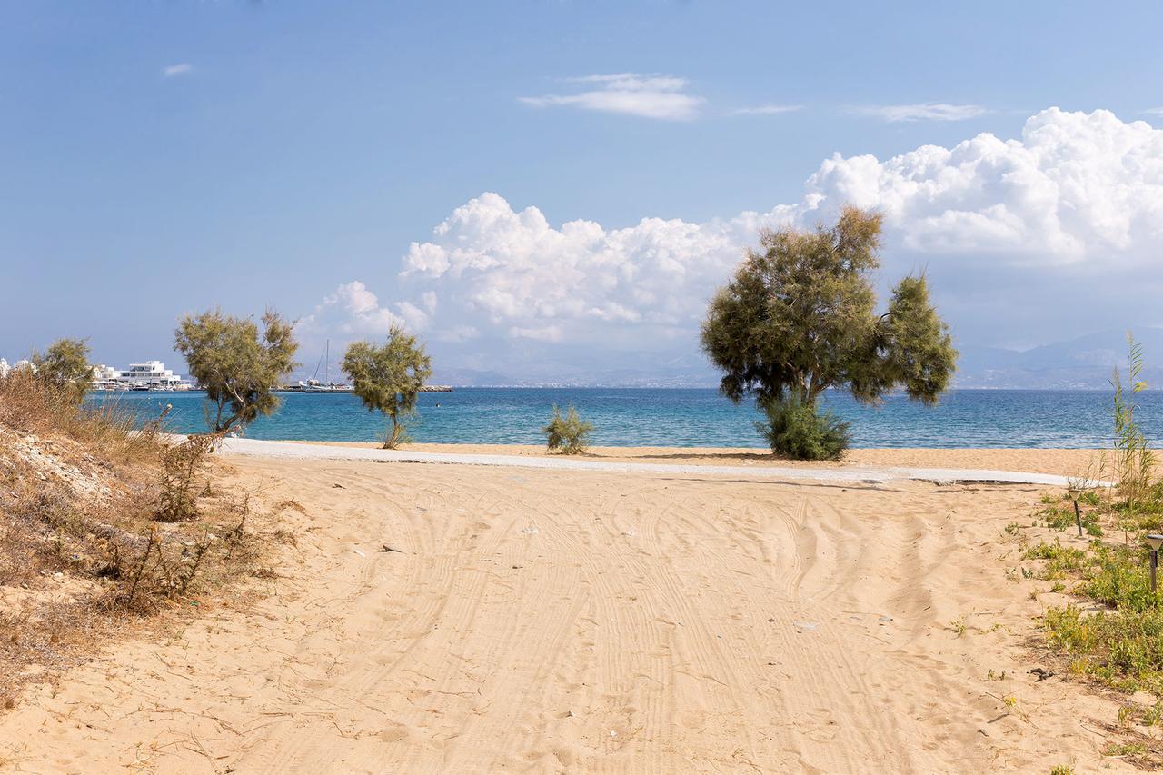 Villa San Dimitrio House On The Beach Logaras Exterior foto